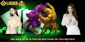 Màu Mạng Đá Gà Và Cách Xác Định Chuẩn Xác Theo Ngũ Hành